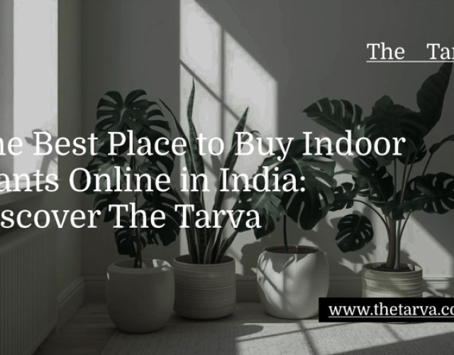 Discover-The-Tarva-The-Best-Place-to-Buy-Indoor-Plants-Online-in-India.jpg